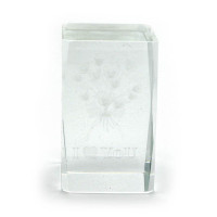 Параллелограмм хрустальный с голограммой (5х8CM)
