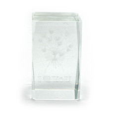 Параллелограмм хрустальный с голограммой (5х8CM)