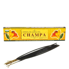 Champa (Чампа)(Darshan) прямоугольник