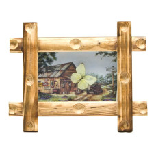 Бабочка в рамке на фоне (19х24х3,5 см)